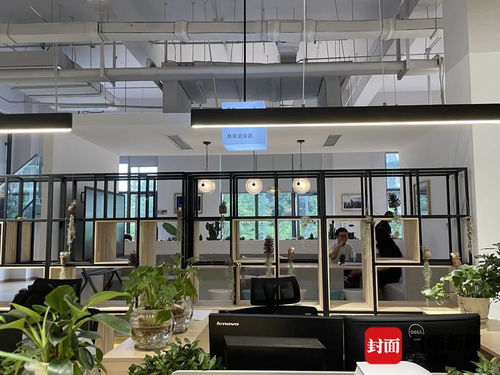 探訪成都金牛“雙中心” 這個極具設計感的服務空間，如何重塑咨詢與策劃體驗？
